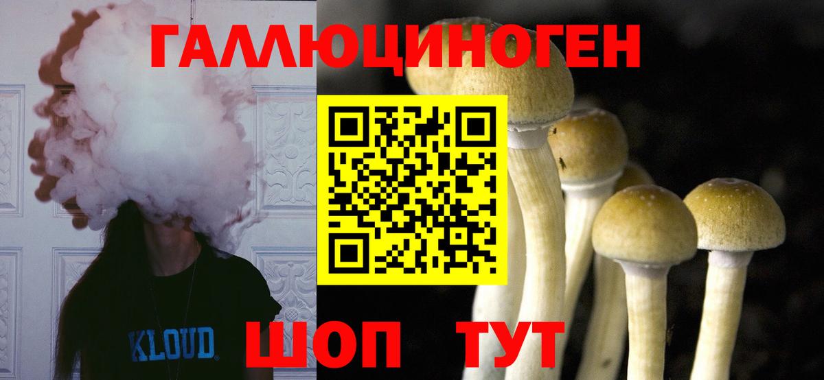 Брянск  Псилоцибиновые грибы Cubensis  Вход с VPN 