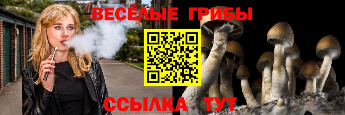 Псилоцибиновые грибы MAGIC MUSHROOMS Брянск